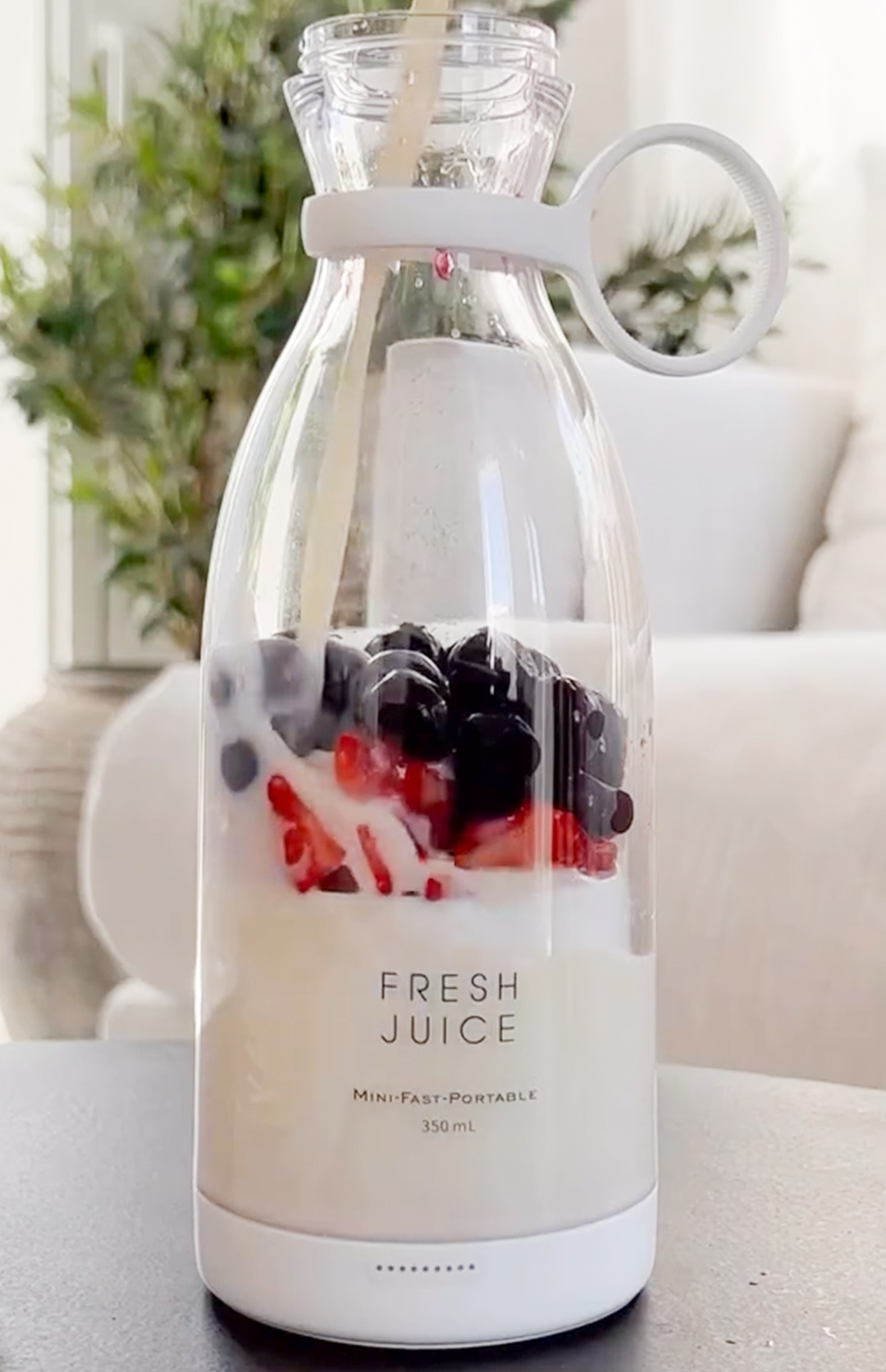 Fresh-blender_img8
